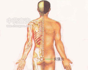 長(zhǎng)強(qiáng)穴位