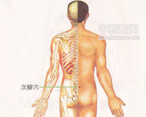 次髎穴位