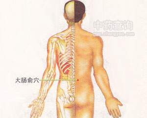 大腸俞穴位