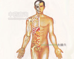 大赫穴位