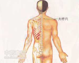 大杼穴位