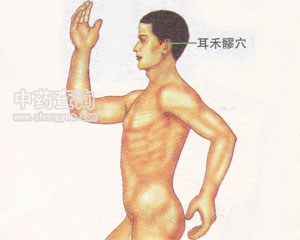 耳和髎穴位