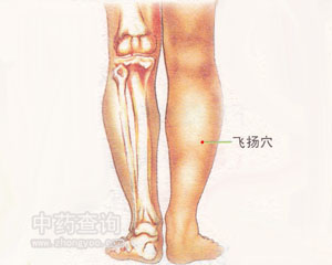 飛揚(yáng)穴位