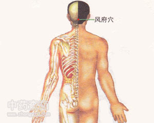 �L(f��ng)��