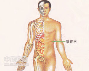 腹哀穴位