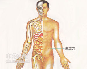 腹結(jié)穴位