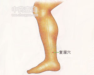 復(fù)溜穴位
