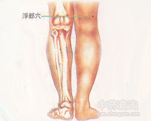 浮郄穴位