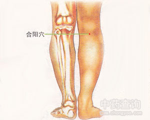 合陽穴位