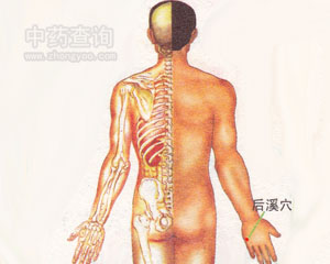 后溪穴位