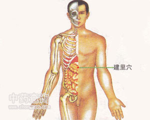 建里穴位