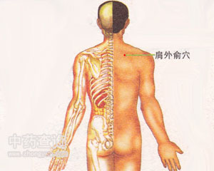 肩外俞穴位