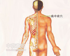 ������Ѩλ