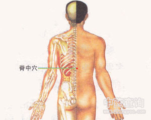 脊中穴位