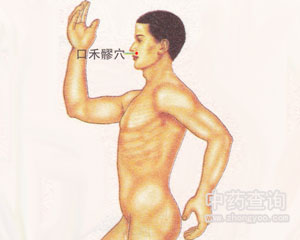 口禾髎穴位