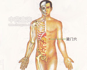 梁門(mén)穴位