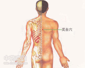 靈臺穴位