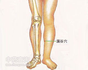 漏谷穴位