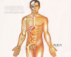 ��(n��i)�P(gu��n)Ѩλ