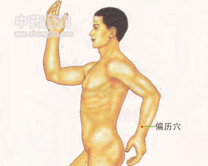偏歷穴位