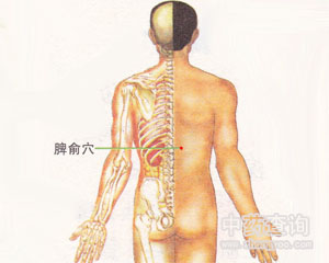 脾俞穴位