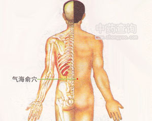 氣海俞穴位