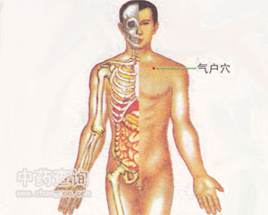 氣戶穴位