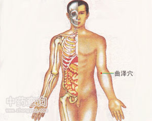 曲澤穴位