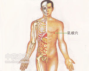 乳根穴位