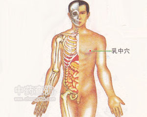乳中穴位