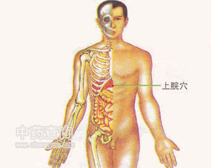 上脘穴位