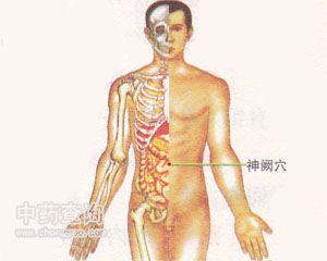 神闕穴位