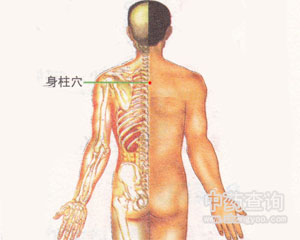 身柱穴位