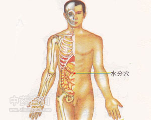 水分穴位