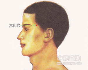 太陽穴位