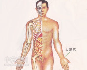 太淵穴位