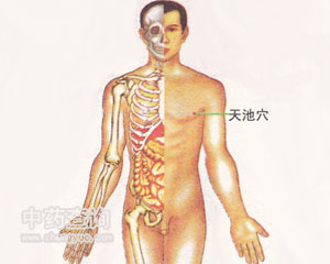 天池穴位