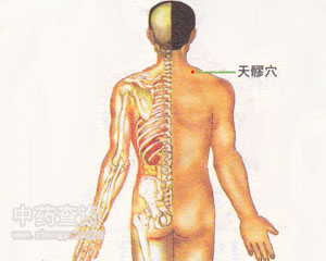 天髎穴位