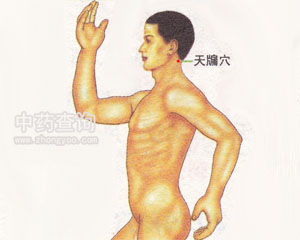 天牖穴位