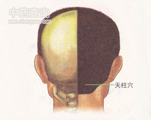 天柱穴位