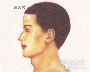 通天穴位