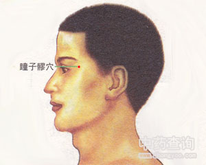 瞳子髎穴位