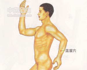 溫溜穴位