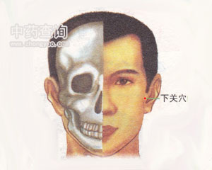 下關(guān)穴位