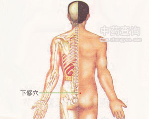 下髎穴位