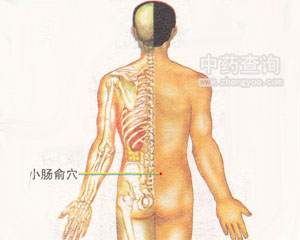 小腸俞穴位