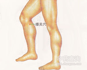 膝關穴位