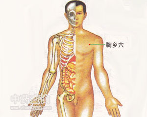 胸鄉(xiāng)穴位