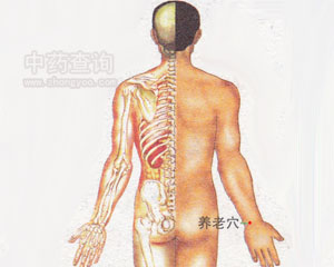 �B(y��ng)��Ѩλ