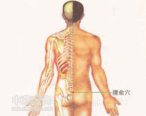 腰俞穴位